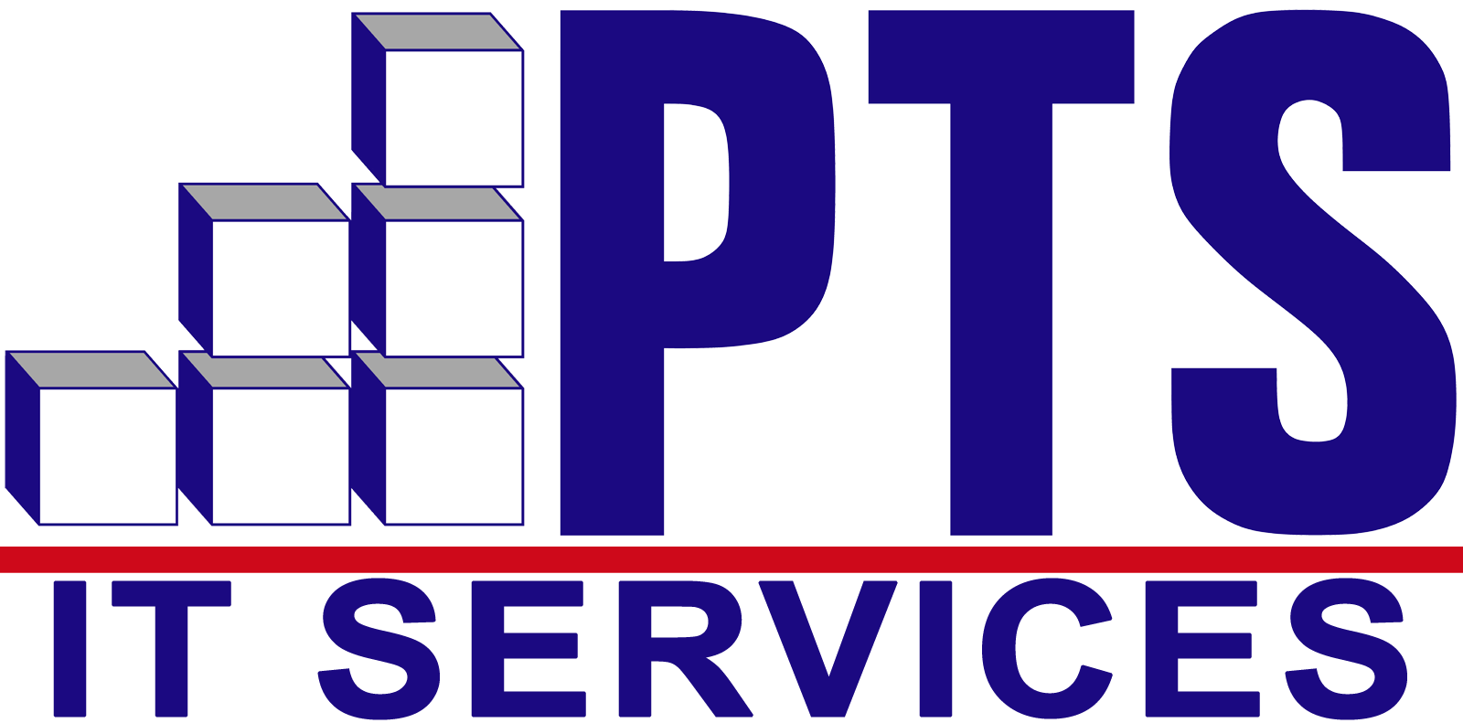 PTS IT SERVICES Logo (transparent bg)